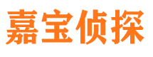 察雅寻人公司